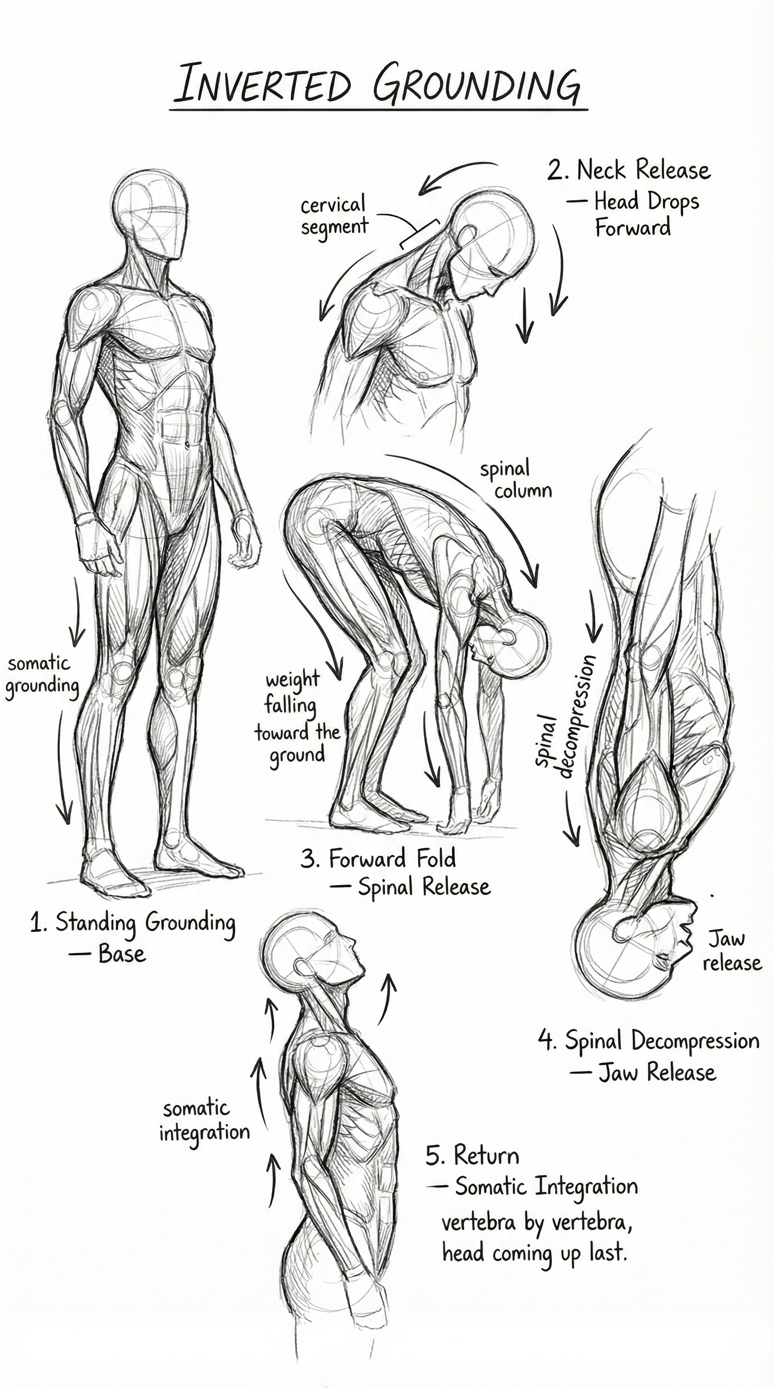 Inverted Grounding exercise posture